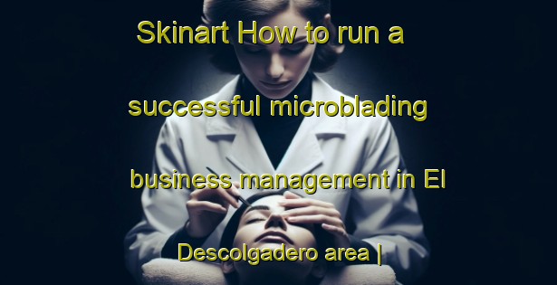 Skinart How to run a successful microblading business management in El Descolgadero area | MicrobladingTraining | MicrobladingClasses | SkinartTraining-Mexico